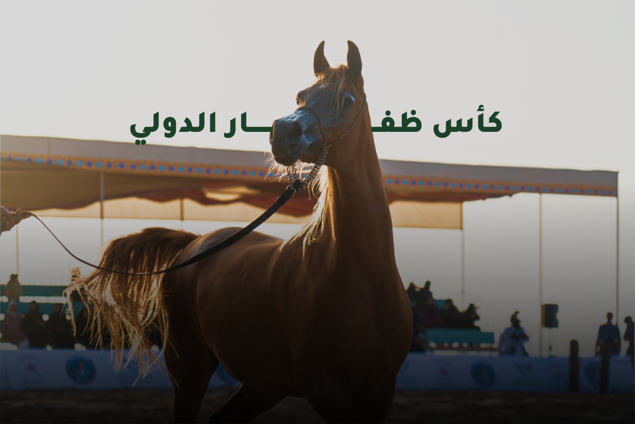 Arabian Horse